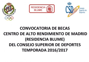 Becas BLUME 16-17