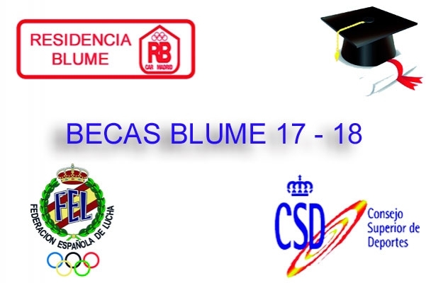 Becas Blume 2017-2018